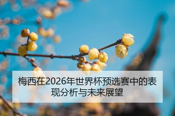 mei-xi-zai-nian-shi-jie-bei-yu-xuan-sai-zhong-de-biao-xian-fen-xi-yu-wei-lai-zhan-wang-2-329.jpg