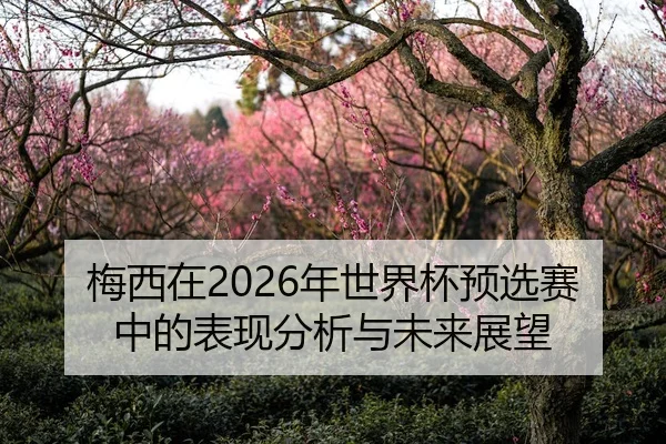 梅西在2026年世界杯预选赛中的表现分析与未来展望