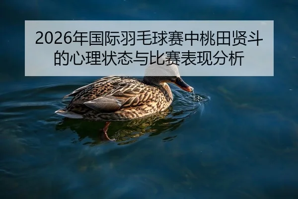 nian-guo-ji-yu-mao-qiu-sai-zhong-tao-tian-xian-dou-de-xin-li-zhuang-tai-yu-bi-sai-biao-xian-fen-xi-2-162.jpg