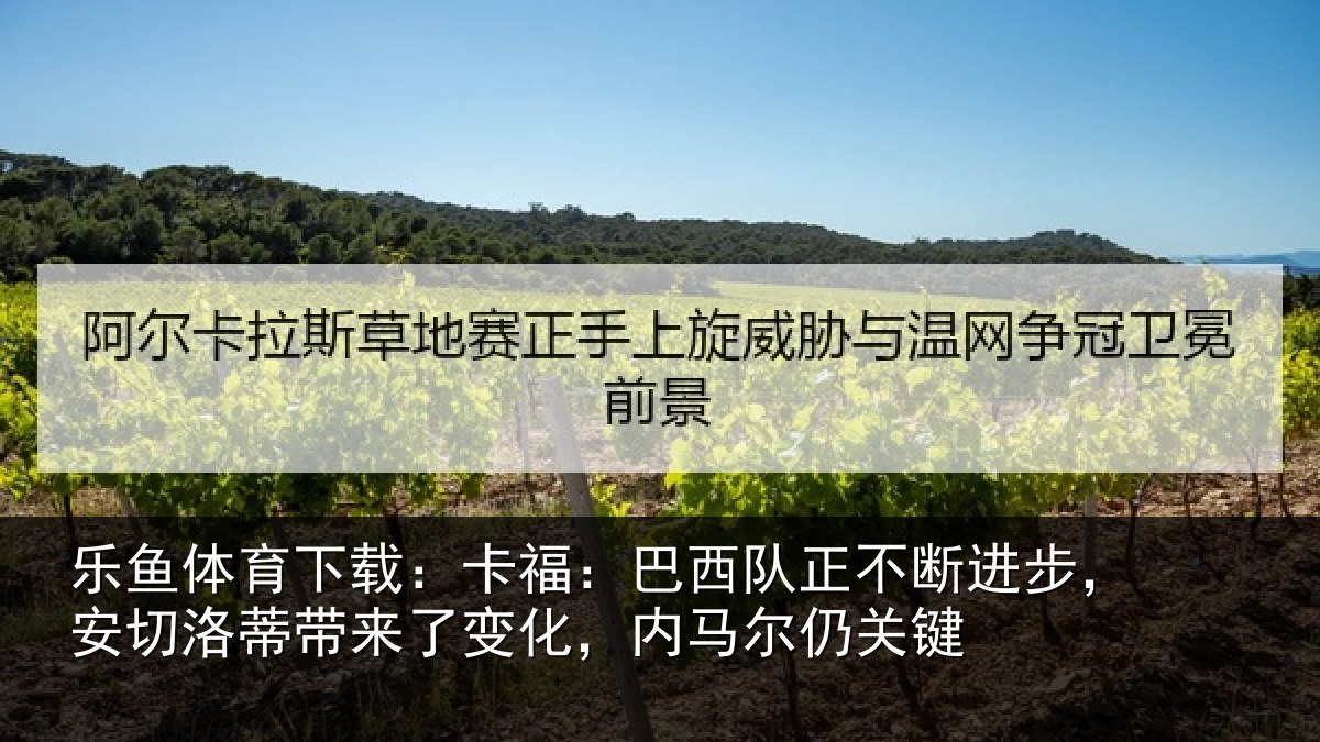 乐鱼体育下载：卡福相关情况，安切相关情况马尔仍关键