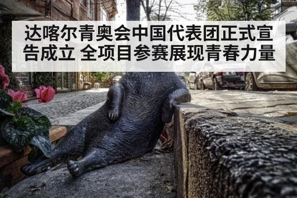 达喀尔青奥会中国代表团正式宣告成立 全项目参赛展现青春力量
